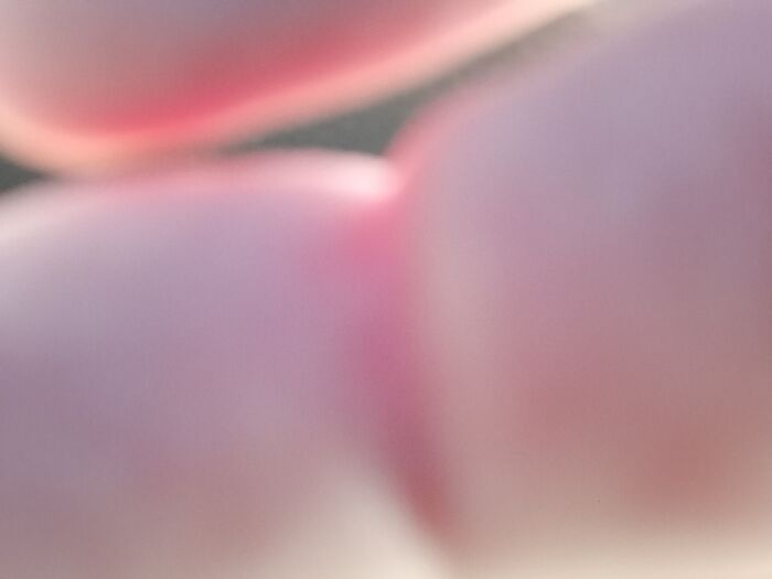 I Don't Know What This Is And I Don't Recall Taking It.