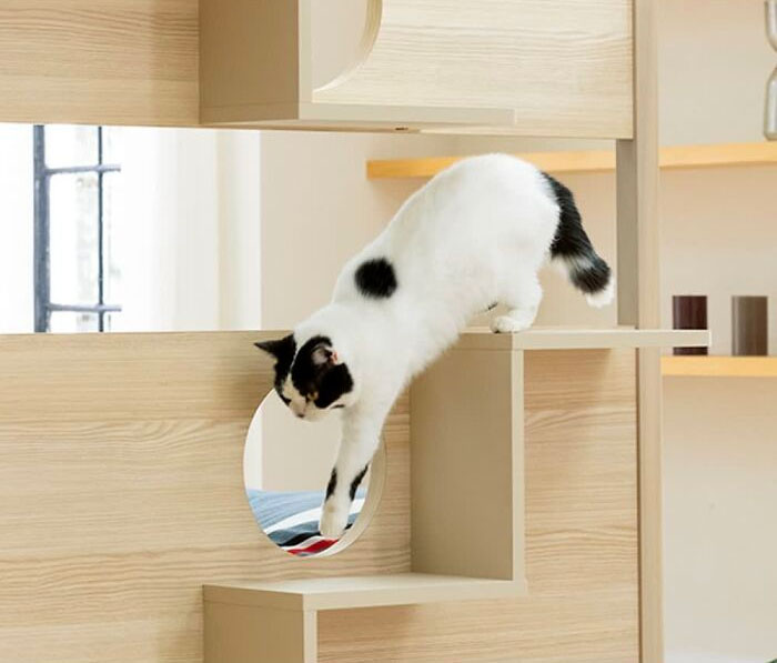 Unusual Furniture: This Interior Company Combined A Bed With A Cat Tower