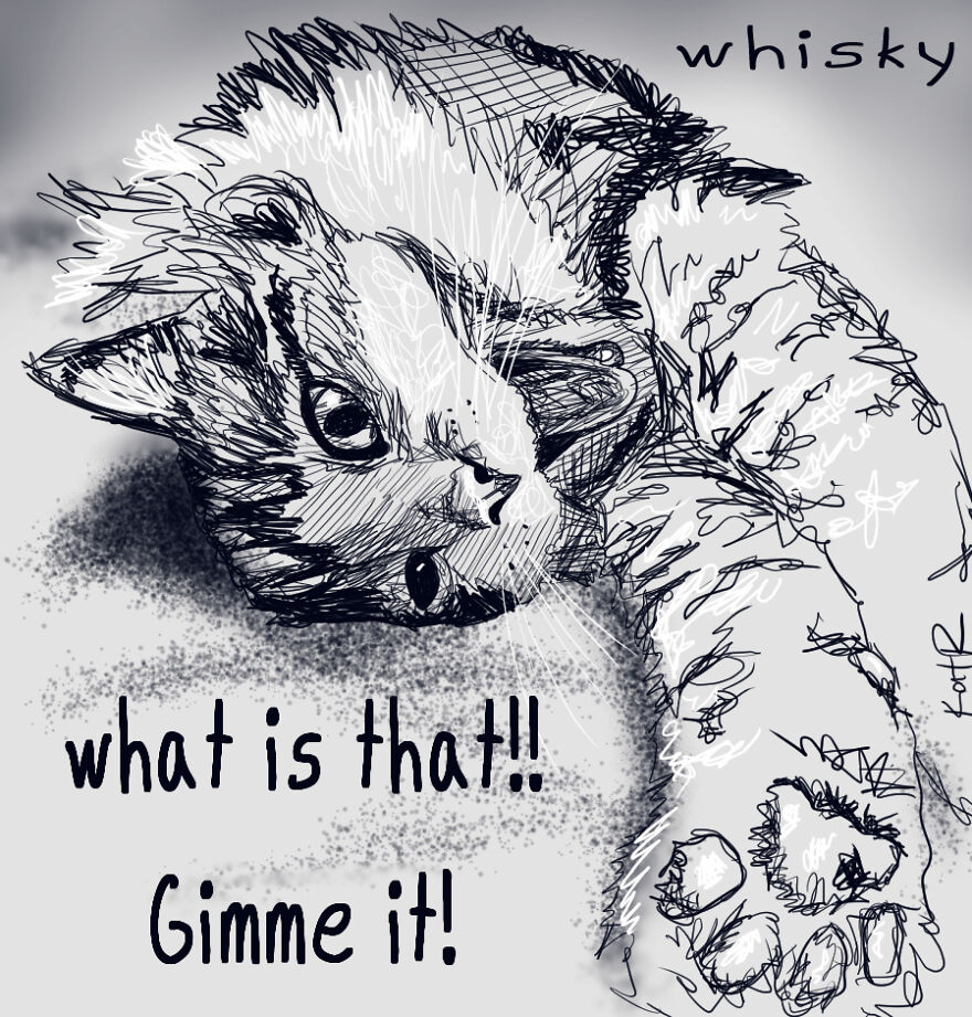 I Made Over 300 Comics This Year And Posted Every Single One, Here Are Some Random Samples For Some Laughs