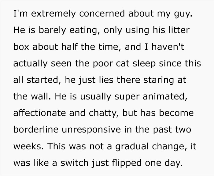 Guy Wonders What's Wrong With His Cat Who's Obsessed With A Single Wall In The House, Investigation Leads To Discovery Of A Hidden Basement Guy Wonders What's Wrong With His Cat Who's Obsessed With A Single Wall In The House, Investigation Leads To Discovery Of A Hidden Basement
