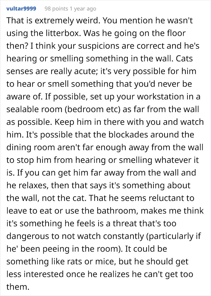 Guy Wonders What's Wrong With His Cat Who's Obsessed With A Single Wall In The House, Investigation Leads To Discovery Of A Hidden Basement Guy Wonders What's Wrong With His Cat Who's Obsessed With A Single Wall In The House, Investigation Leads To Discovery Of A Hidden Basement