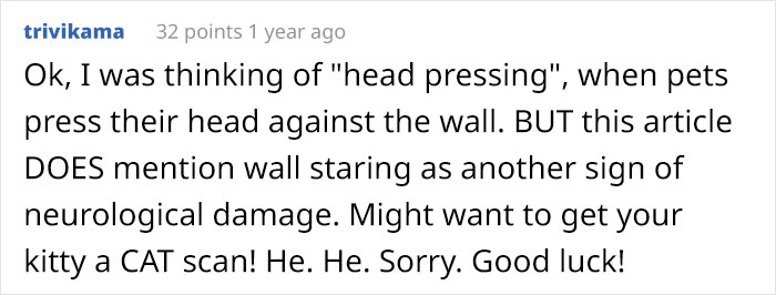 Guy Wonders What's Wrong With His Cat Who's Obsessed With A Single Wall In The House, Investigation Leads To Discovery Of A Hidden Basement Guy Wonders What's Wrong With His Cat Who's Obsessed With A Single Wall In The House, Investigation Leads To Discovery Of A Hidden Basement