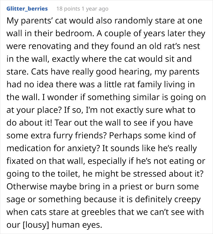 Guy Wonders What's Wrong With His Cat Who's Obsessed With A Single Wall In The House, Investigation Leads To Discovery Of A Hidden Basement Guy Wonders What's Wrong With His Cat Who's Obsessed With A Single Wall In The House, Investigation Leads To Discovery Of A Hidden Basement