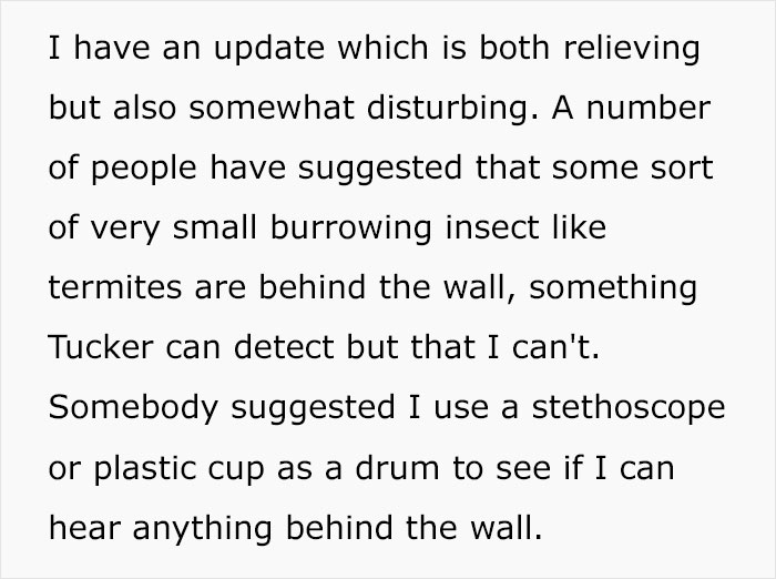 Guy Wonders What's Wrong With His Cat Who's Obsessed With A Single Wall In The House, Investigation Leads To Discovery Of A Hidden Basement Guy Wonders What's Wrong With His Cat Who's Obsessed With A Single Wall In The House, Investigation Leads To Discovery Of A Hidden Basement