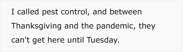 Guy Wonders What's Wrong With His Cat Who's Obsessed With A Single Wall In The House, Investigation Leads To Discovery Of A Hidden Basement Guy Wonders What's Wrong With His Cat Who's Obsessed With A Single Wall In The House, Investigation Leads To Discovery Of A Hidden Basement