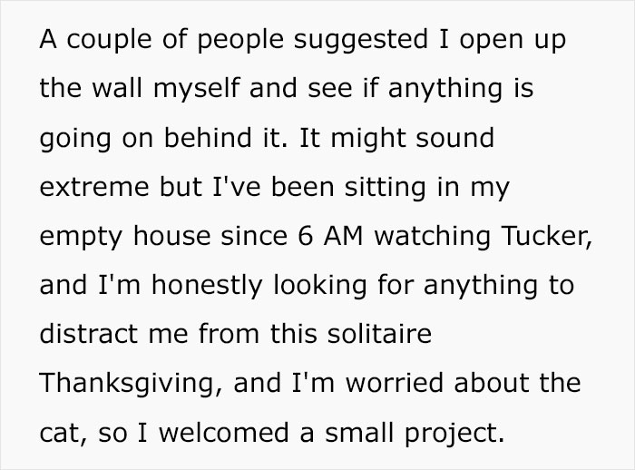 Guy Wonders What's Wrong With His Cat Who's Obsessed With A Single Wall In The House, Investigation Leads To Discovery Of A Hidden Basement Guy Wonders What's Wrong With His Cat Who's Obsessed With A Single Wall In The House, Investigation Leads To Discovery Of A Hidden Basement