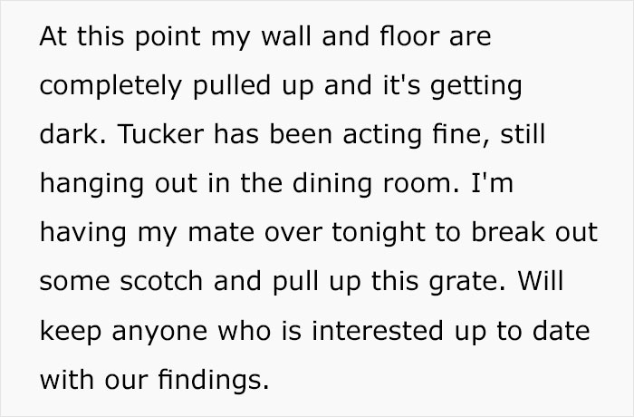 Guy Wonders What's Wrong With His Cat Who's Obsessed With A Single Wall In The House, Investigation Leads To Discovery Of A Hidden Basement Guy Wonders What's Wrong With His Cat Who's Obsessed With A Single Wall In The House, Investigation Leads To Discovery Of A Hidden Basement