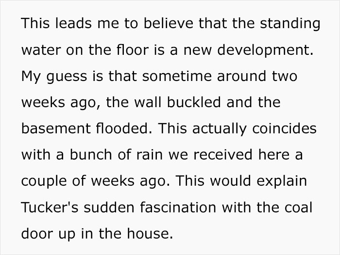 Guy Wonders What's Wrong With His Cat Who's Obsessed With A Single Wall In The House, Investigation Leads To Discovery Of A Hidden Basement Guy Wonders What's Wrong With His Cat Who's Obsessed With A Single Wall In The House, Investigation Leads To Discovery Of A Hidden Basement