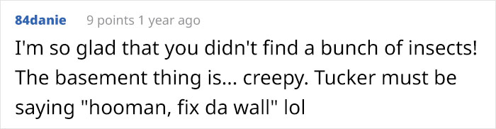 Guy Wonders What's Wrong With His Cat Who's Obsessed With A Single Wall In The House, Investigation Leads To Discovery Of A Hidden Basement Guy Wonders What's Wrong With His Cat Who's Obsessed With A Single Wall In The House, Investigation Leads To Discovery Of A Hidden Basement
