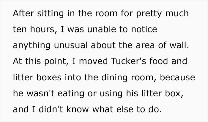 Guy Wonders What's Wrong With His Cat Who's Obsessed With A Single Wall In The House, Investigation Leads To Discovery Of A Hidden Basement Guy Wonders What's Wrong With His Cat Who's Obsessed With A Single Wall In The House, Investigation Leads To Discovery Of A Hidden Basement
