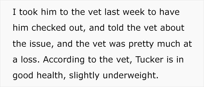 Guy Wonders What's Wrong With His Cat Who's Obsessed With A Single Wall In The House, Investigation Leads To Discovery Of A Hidden Basement Guy Wonders What's Wrong With His Cat Who's Obsessed With A Single Wall In The House, Investigation Leads To Discovery Of A Hidden Basement