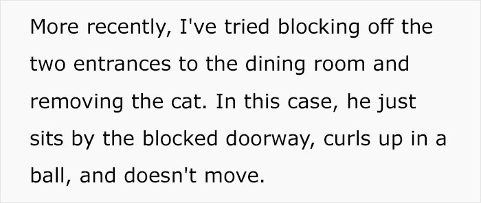 Guy Wonders What's Wrong With His Cat Who's Obsessed With A Single Wall In The House, Investigation Leads To Discovery Of A Hidden Basement Guy Wonders What's Wrong With His Cat Who's Obsessed With A Single Wall In The House, Investigation Leads To Discovery Of A Hidden Basement