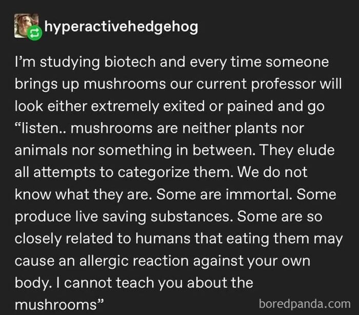 Ominous-Positivity-Jokes