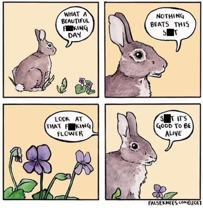 Ominous-Positivity-Jokes