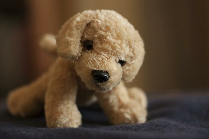 30 Of The Dumbest Lies These People Thought Were 100% True When They Were Kids