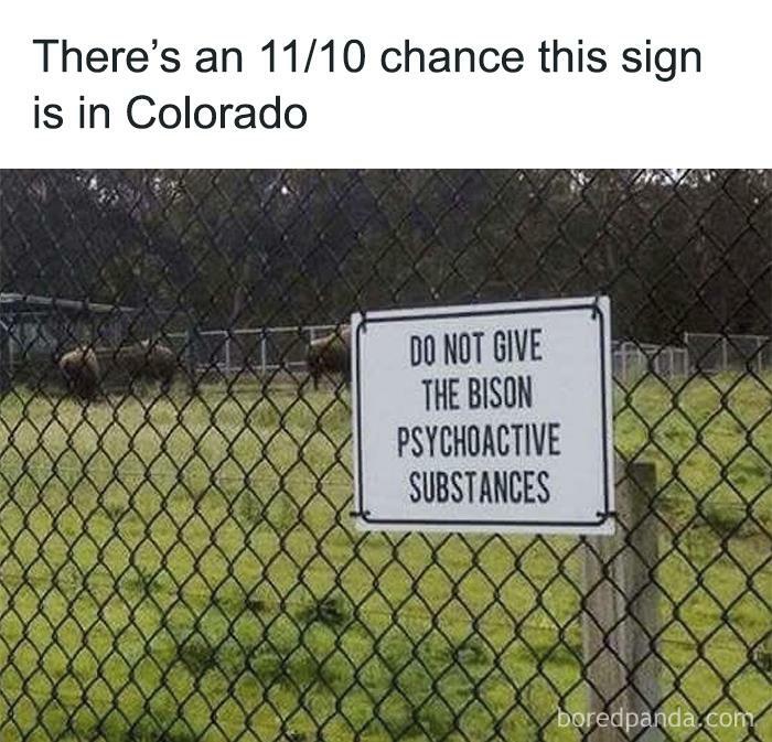 Weed Gummies Are Definitely Fine Tho