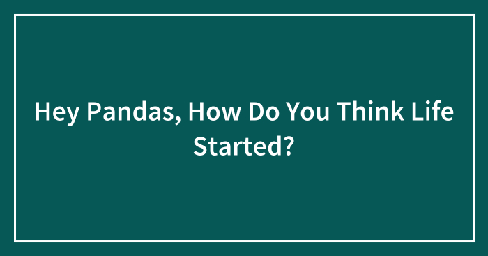 Hey Pandas, How Do You Think Life Started? (Closed)
