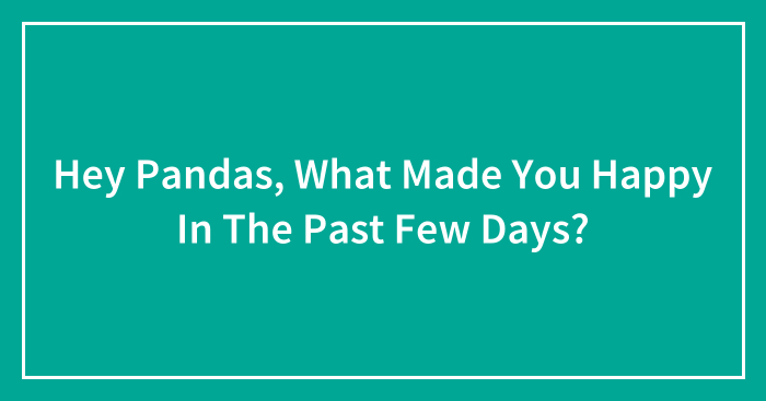 Hey Pandas, What Made You Happy In The Past Few Days? (Closed)