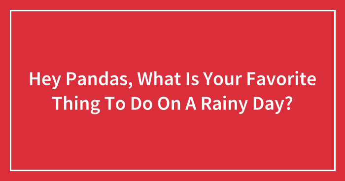 Hey Pandas, What Is Your Favorite Thing To Do On A Rainy Day?