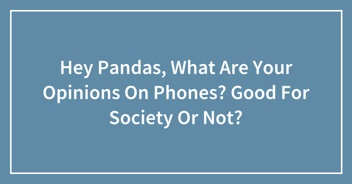 Hey Pandas, What Are Your Opinions On Phones? Good For Society Or Not?