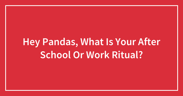 Hey Pandas, What Is Your After School Or Work Ritual?