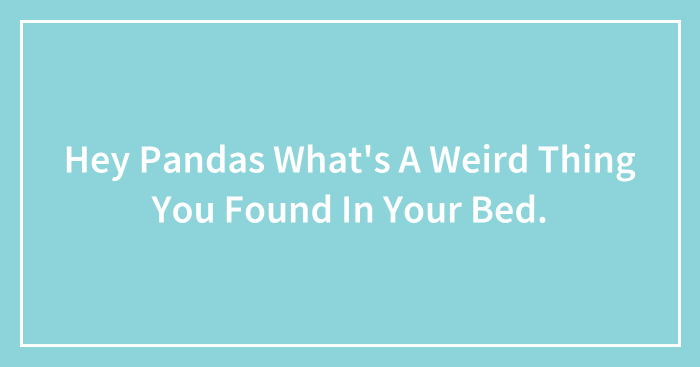 Hey Pandas What’s A Weird Thing You Found In Your Bed? (Closed)