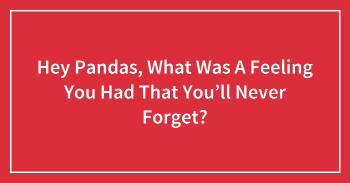 Hey Pandas, What Was A Feeling You Had That You’ll Never Forget? (Closed)