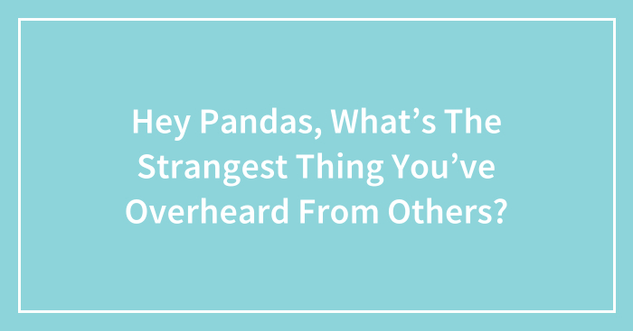 Hey Pandas, What’s The Strangest Thing You’ve Overheard From Others? (Closed)