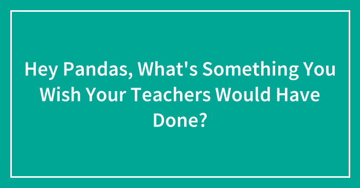 Hey Pandas, What’s Something You Wish Your Teachers Would Have Done?