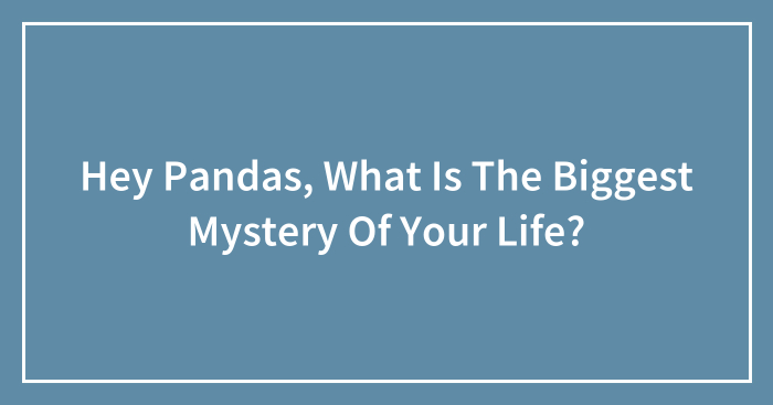 Hey Pandas, What Is The Biggest Mystery Of Your Life? (Closed)