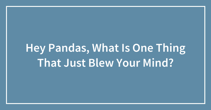 Hey Pandas, What Is One Thing That Just Blew Your Mind? (Closed)
