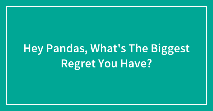 Hey Pandas, What’s The Biggest Regret You Have? (Closed)