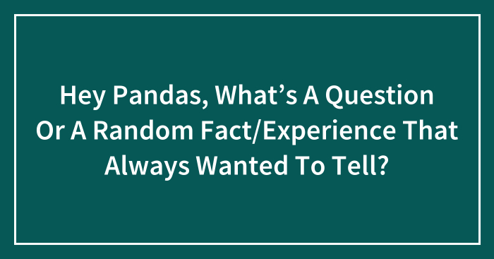 Hey Pandas, What’s A Question Or A Random Fact/Experience That Always Wanted To Tell? (Closed)