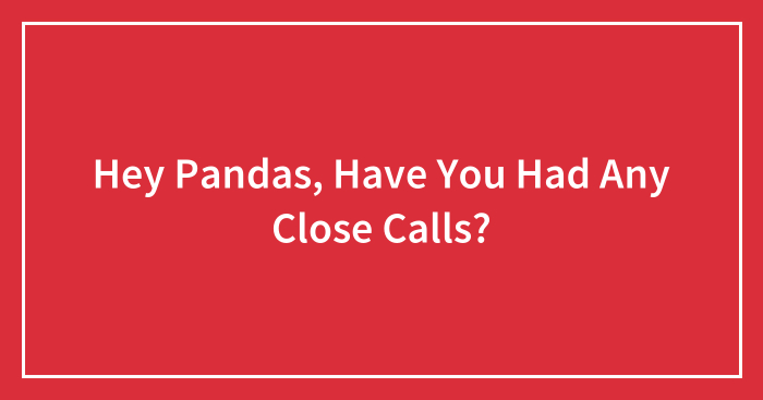 Hey Pandas, Have You Had Any Close Calls? (Closed)