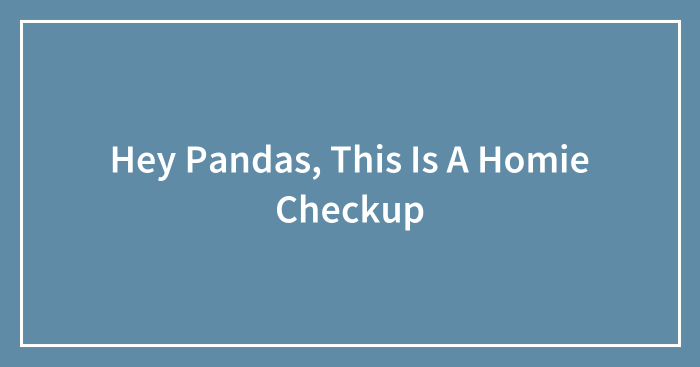 Hey Pandas, This Is A Homie Checkup (Closed)