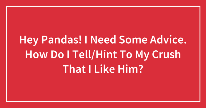 Hey Pandas! I Need Some Advice. How Do I Tell/Hint To My Crush That I Like Him? (Closed)