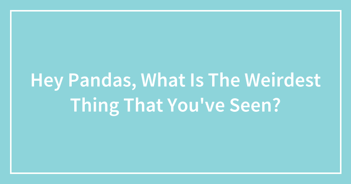 Hey Pandas, What Is The Weirdest Thing That You’ve Seen? (Closed)