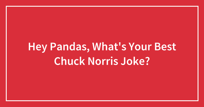 Hey Pandas, What’s Your Best Chuck Norris Joke? (Closed)