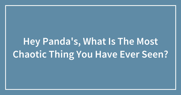 Hey Panda’s, What Is The Most Chaotic Thing You Have Ever Seen? (Closed)