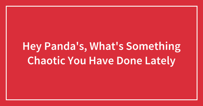 Hey Pandas, What’s Something Chaotic You Have Done Lately? (Closed)