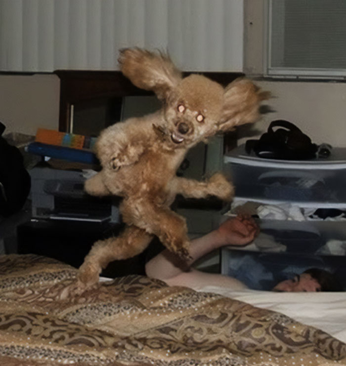 I Found The 10 Most Cursed Bored Panda Posts And Here They Are