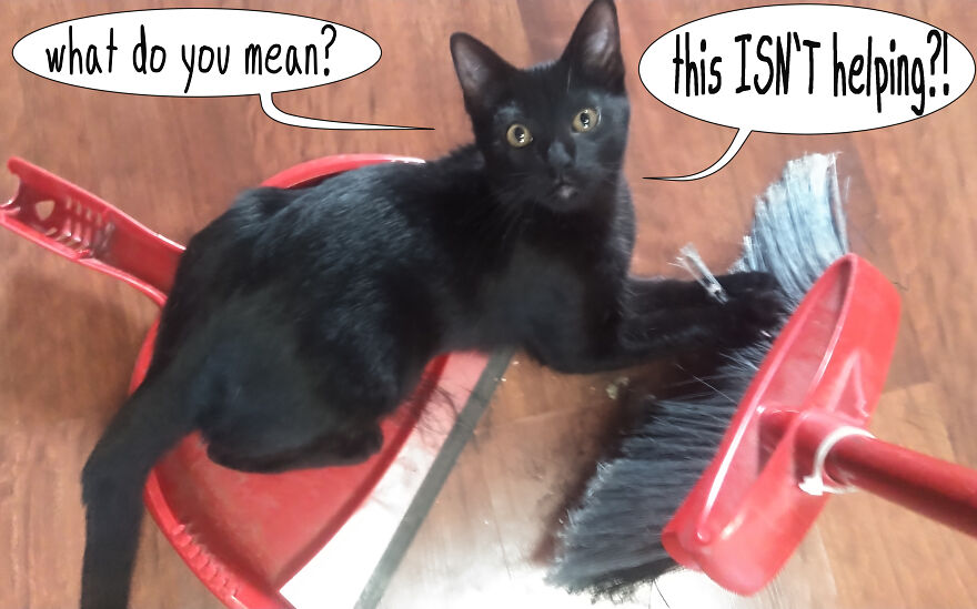 I Made Over 300 Comics This Year And Posted Every Single One, Here Are Some Random Samples For Some Laughs