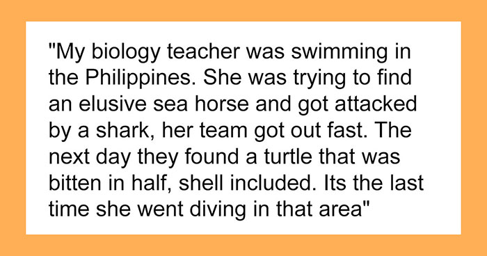 Person Online Asks Deep Sea Divers To Share The Most Horrifying Experiences Underwater, 26 Folks Deliver