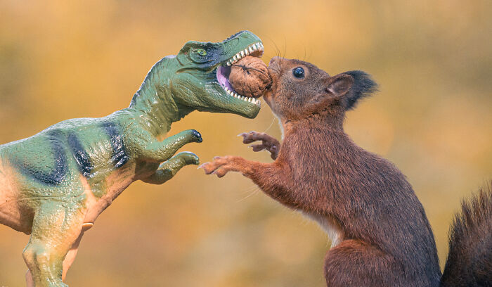 Squirrel Photographer Pays A Tribute To Steven Spielberg's Jurrasic Park