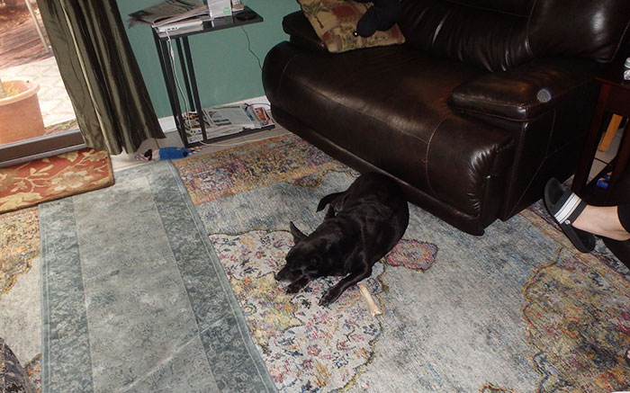 28 Times Employees Did Bizarrely Crazy Things At Work That Folks Online Just Had To Share