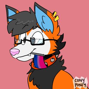 alexandermcauleystudent avatar