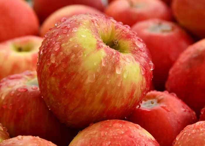 40 People Share The One Question They Got That Was So Dumb, They Thought The Person Must Be Joking, But They Were 100% Serious