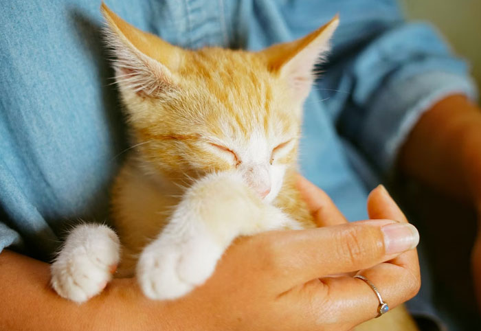 40 People Share The One Question They Got That Was So Dumb, They Thought The Person Must Be Joking, But They Were 100% Serious