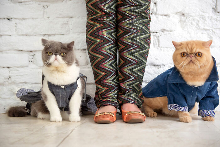 Stylish Marie & Pierre