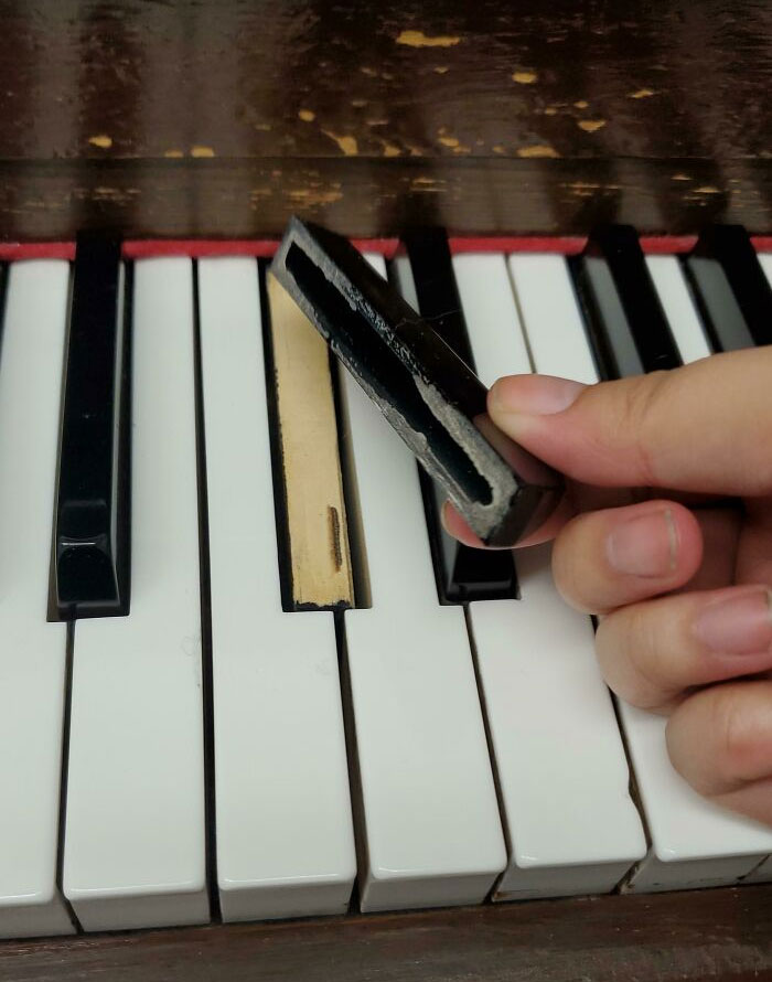 I'm A Music Teacher. Not Only Did I Trip Over My Laptop Charger And Close Zoom Mid-Lesson, But I Found Some More Collateral Damage. Anyone Got Glue?